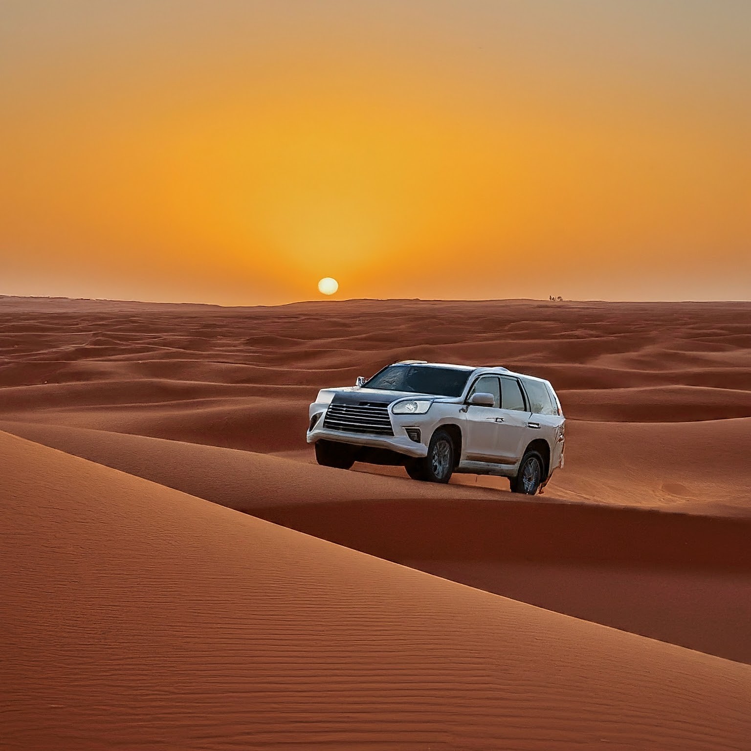 conduire-au-maroc-le-guide-du-touriste-pour-naviguer-les-routes